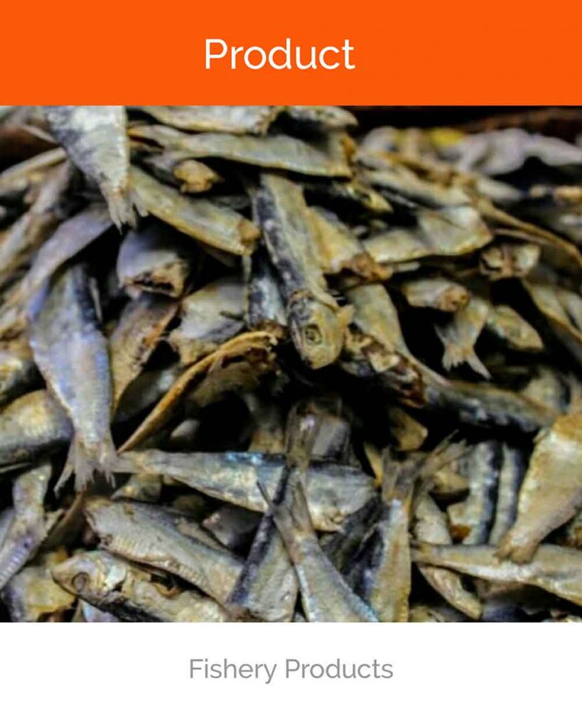Fishery Products